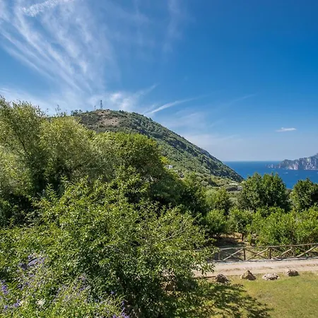 Villa Elysium - Private Pool With Capri Sea View Massa Lubrense